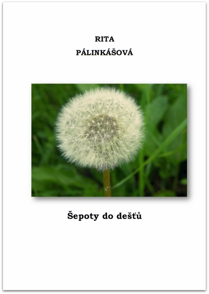 E-kniha Šepoty do dešťů - Rita Pálinkášová