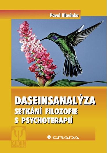 E-kniha Daseinsanalýza - Pavel Hlavinka
