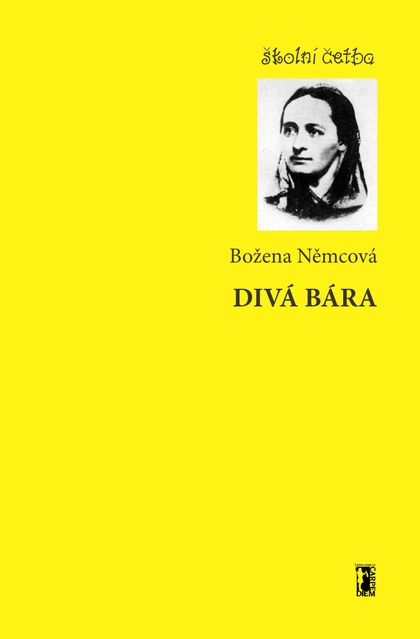 E-kniha Divá Bára - Božena Němcová